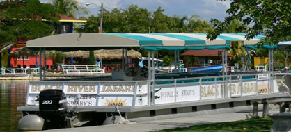 Black River Safari Tour Jamaica