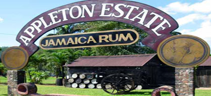 Appleton Estate Rum Distillery Tours Jamaica