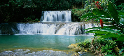 Y.S Falls Jamaica